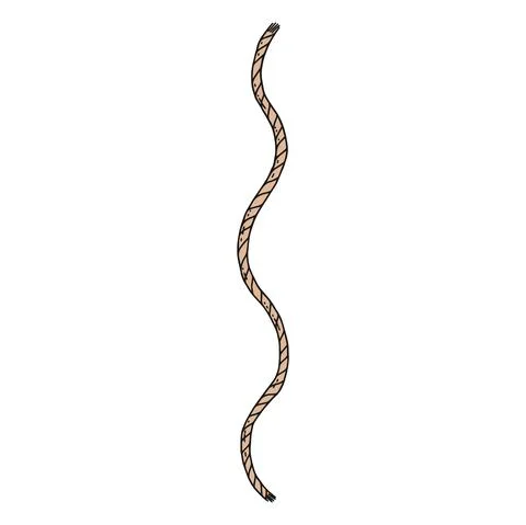 Rope lasso vector doodle sketch isolated illustration. Stock Illustration