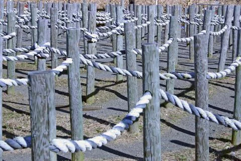 Rope Maze Stock Photos