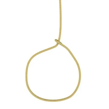 A rope with a noose on an isolated background Stock Illustration