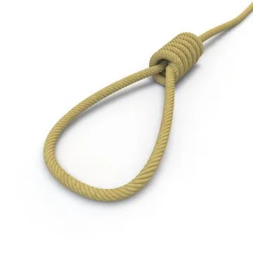 A rope with a noose lying on the floor Stock Illustration