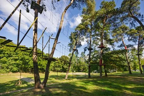 A rope obstacle course between pine tree trunks high above the ground. Stock Photos