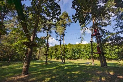 A rope obstacle course stretched between tall pine trees. Wooden platforms .. Stock Photos