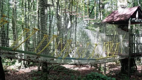 Rope park in a dense summer forest, in the shade from the sun. Attractions. Stock Footage 221300815