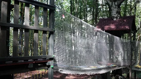 Rope park in a dense summer forest, in the shade from the sun. Attractions. Stock Footage 221300863