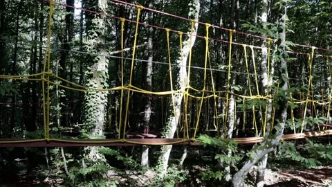 Rope park in a dense summer forest, in the shade from the sun. Attractions. Stock Footage 221301048