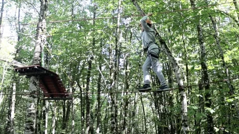 Rope park in a dense summer forest, in the shade from the sun. Attractions. Stock Footage 221301053
