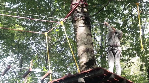 Rope park in a dense summer forest, in the shade from the sun. Attractions. Stock Footage 221301072