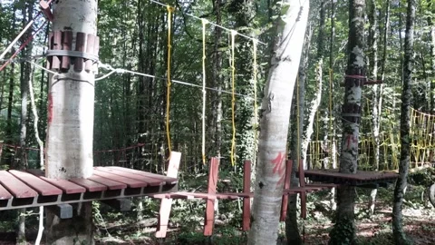 Rope park in a dense summer forest, in the shade from the sun. Attractions. Stock Footage 221301094