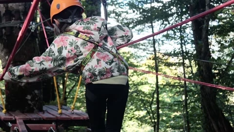 Rope park in a dense summer forest, in the shade from the sun. Stock Footage 221301290