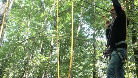 Rope park in a dense summer forest, in the shade from the sun. Stock Footage 221301373