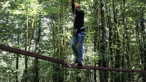 Rope park in a dense summer forest, in the shade from the sun. Stock Footage 221301475
