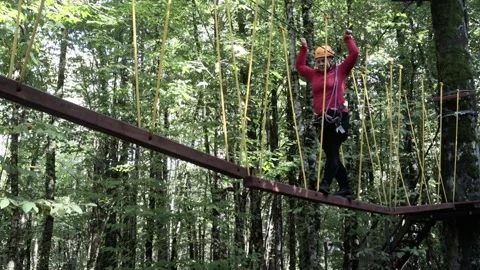 Rope park in a dense summer forest, in the shade from the sun. Stock Footage 221301502