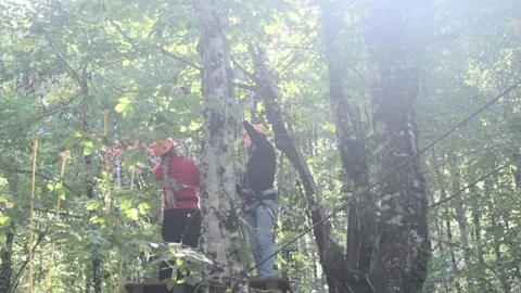Rope park in a dense summer forest, in the shade from the sun. Stock Footage 221301555