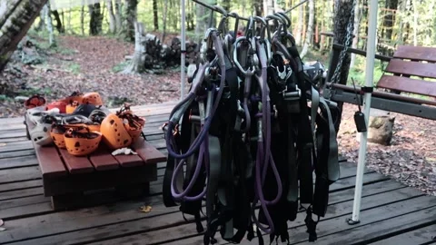 Rope park in a dense summer forest, in the shade from the sun. Attractions. Stock Footage 221301569