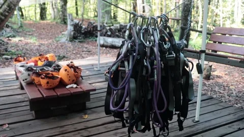 Rope park in a dense summer forest, in the shade from the sun. Attractions. Stock Footage 221301606