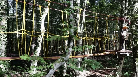 Rope park in a dense summer forest, in the shade from the sun. Attractions. Stock Footage 221305502