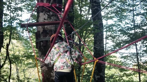 Rope park in a dense summer forest, in the shade from the sun. Attractions. Stock Footage 221305586