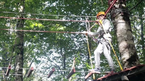 Rope park in a dense summer forest, in the shade from the sun. Attractions. Stock Footage 221305656