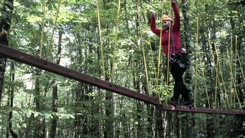 Rope park in a dense summer forest, in the shade from the sun. Attractions. Stock Footage 221306159