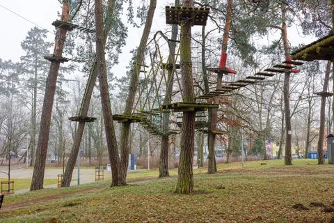 Rope park with hanging bridges on pine trees in the city park. Stock Photos