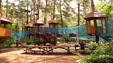 Rope park with nets in a forest close to... | Stock Video | Pond5