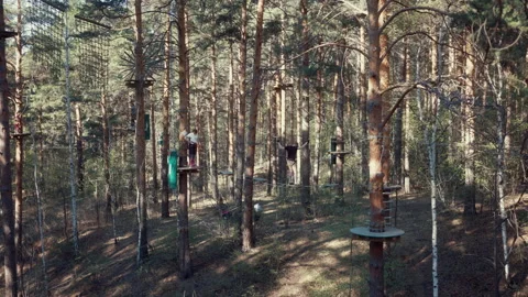 Rope park with obstacle course in the wild forest in the summer Stockbeeldmateriaal 188182073