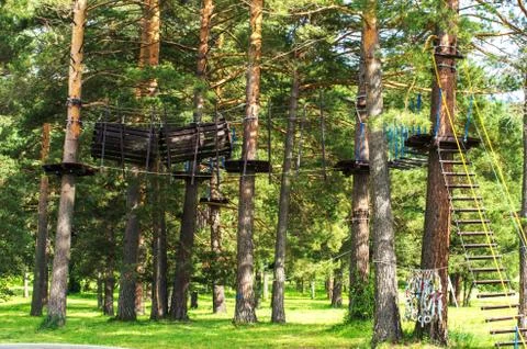 Rope park in the trees. 写真素材