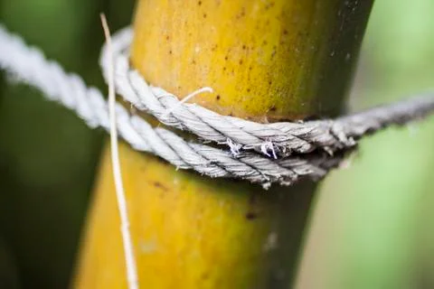 Rope Stock Photos