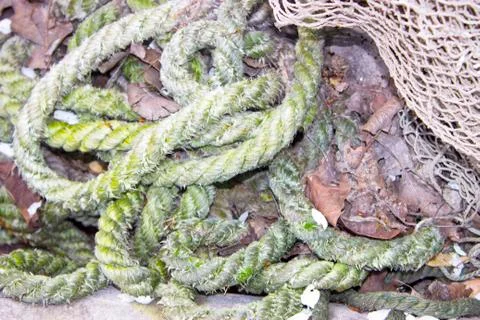 Rope Stock Photos