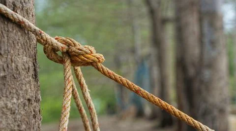 Rope pulled tight around tree trunk Stock Photos