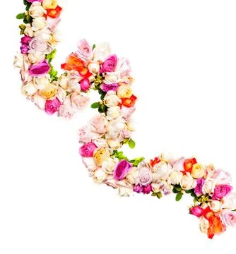 Rope of roses Foto stock