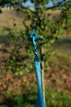 A rope stretched between trees for drying clothes nearby Stock Photos