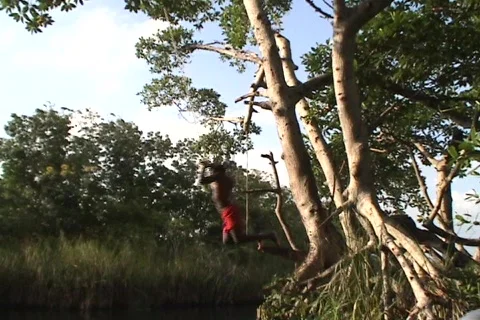 Rope Swing 08 Stock Footage 356799