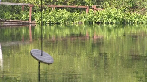 Rope Swing and River Stock Footage 128718964