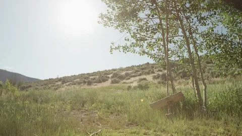 Rope Swing 스톡 동영상 92827937