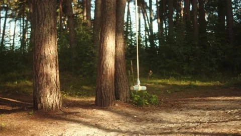 Rope Swing Hanging From A Tree In Backyard Forest Stock-Footage 138162354