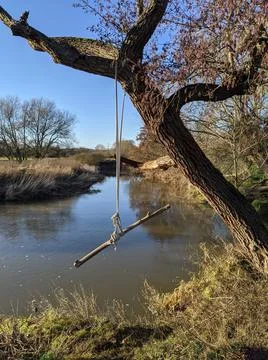 Rope Swing Stock Photos