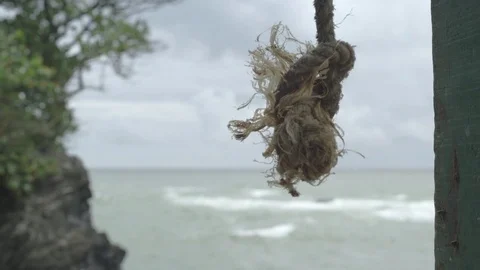 Rope Swinging 스톡 동영상 82172282