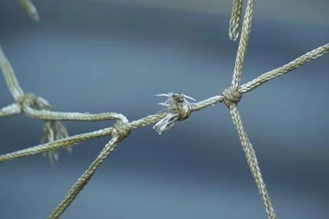 Rope web texture pattern Foto stock