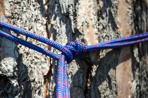 Rope wrapped around a tree trunk Stock Photos