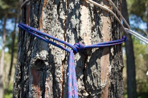 Rope wrapped around a tree trunk Stock Photos