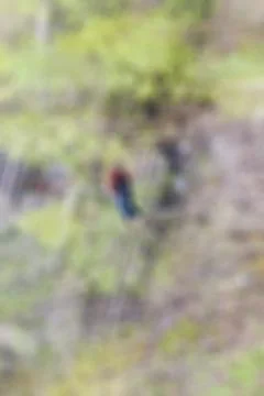 Ropejumping theme blur background Stock Photos