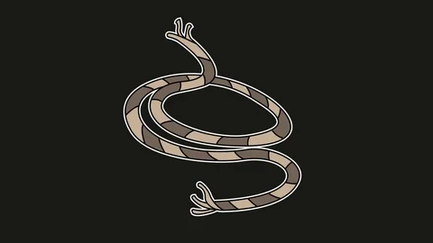 Ropes animation black screen. 2D flat simple motion Stock Footage 116075310
