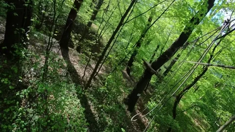 Ropes course in an adventure park 스톡 동영상 310734907