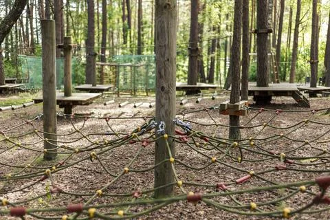 A ropes course is set up in a serene forest, with sturdy wooden platforms a.. Stock Photos