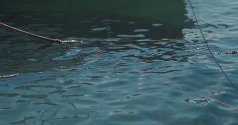 Ropes floating on harbor water surface Vídeo Stock 334338862
