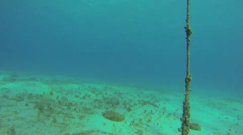Ropes sway underwater Video stock 42464262
