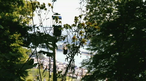 Ropeway and rhein river Stock Footage 865823