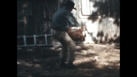 Roping a Calf 1941 Stock Footage 242877085