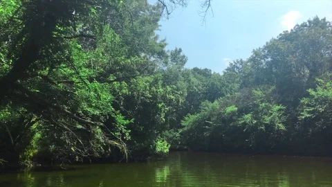 The Ropotamo is a river in southeastern Bulgaria. Stock Footage 80356532